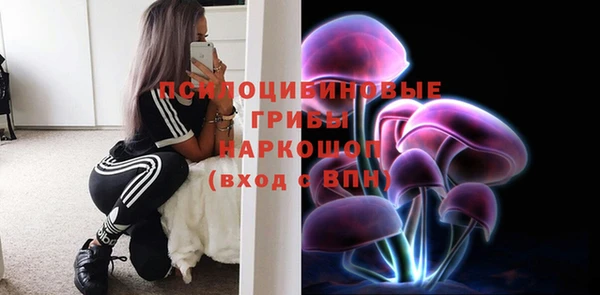 тгк Алексеевка